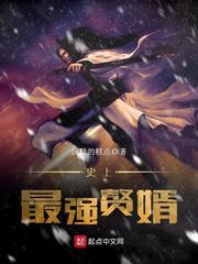 史上最强赘婿全文阅读