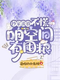 流放抄家空间文