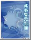 全球最厉害的保镖