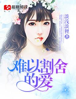 那种难以割舍的情感